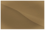 Sahara
