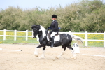 SBM_007271