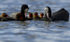 COOTS