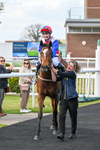 100426-Race 4-Harswell Ruby-3302