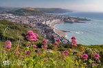 Aberystwyth from Constitution Hill