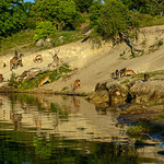 _DSC1672-2