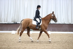 SBM_01651