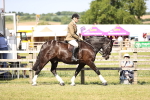 SBM_18684