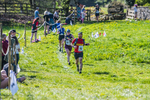 The Finish-1002