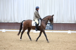 SBM_003446