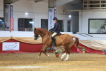 SBM_20202