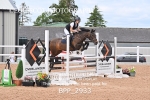 BPP_2933