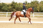 SBM_003642