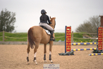 Cls 36 1.10m National Amateur Quali portfolio