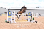 BPP_5622