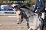 BPP_8796