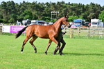SBM_00096