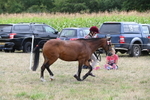 WJ6_6193