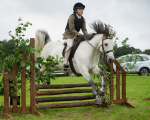 Dunblane show-446