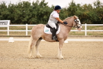 SBM_006431