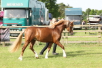 SBM_00721