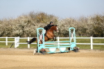 SBM_000495