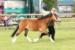 SBM_00448