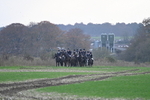 WJ7_0241