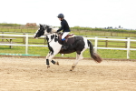 SBM_004258
