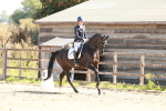 SBM_010557