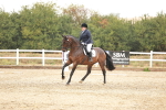 SBM_001398