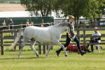 SBM_00736