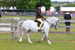 SBM_08535