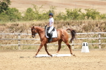 SBM_002913