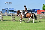SBM_11660