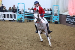 SBM_004044