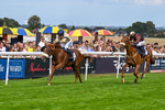 300826-Race 3-Pivotal Voyage-0180