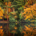 Autumn Reflection
