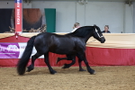 SBM_17620
