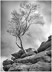Monochrome portfolio