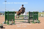 BPP_1597