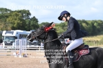 BPP_2956