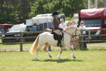 SBM_07019