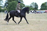 WJ7_6000