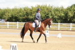 SBM_000232