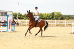 SBM_003432