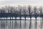 28 December 2015 CIVIC TRUST KNAVESMIRE IN FLOOD - 4 of 9