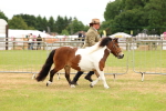 SBM_04354