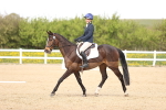 SBM_008019