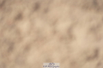 230924A-142354-06431