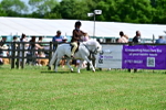 SBM_07798