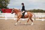 SBM_05903