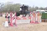 BPP_0461