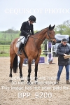 CLASS 29 SUN Veterans Show Jumping portfolio